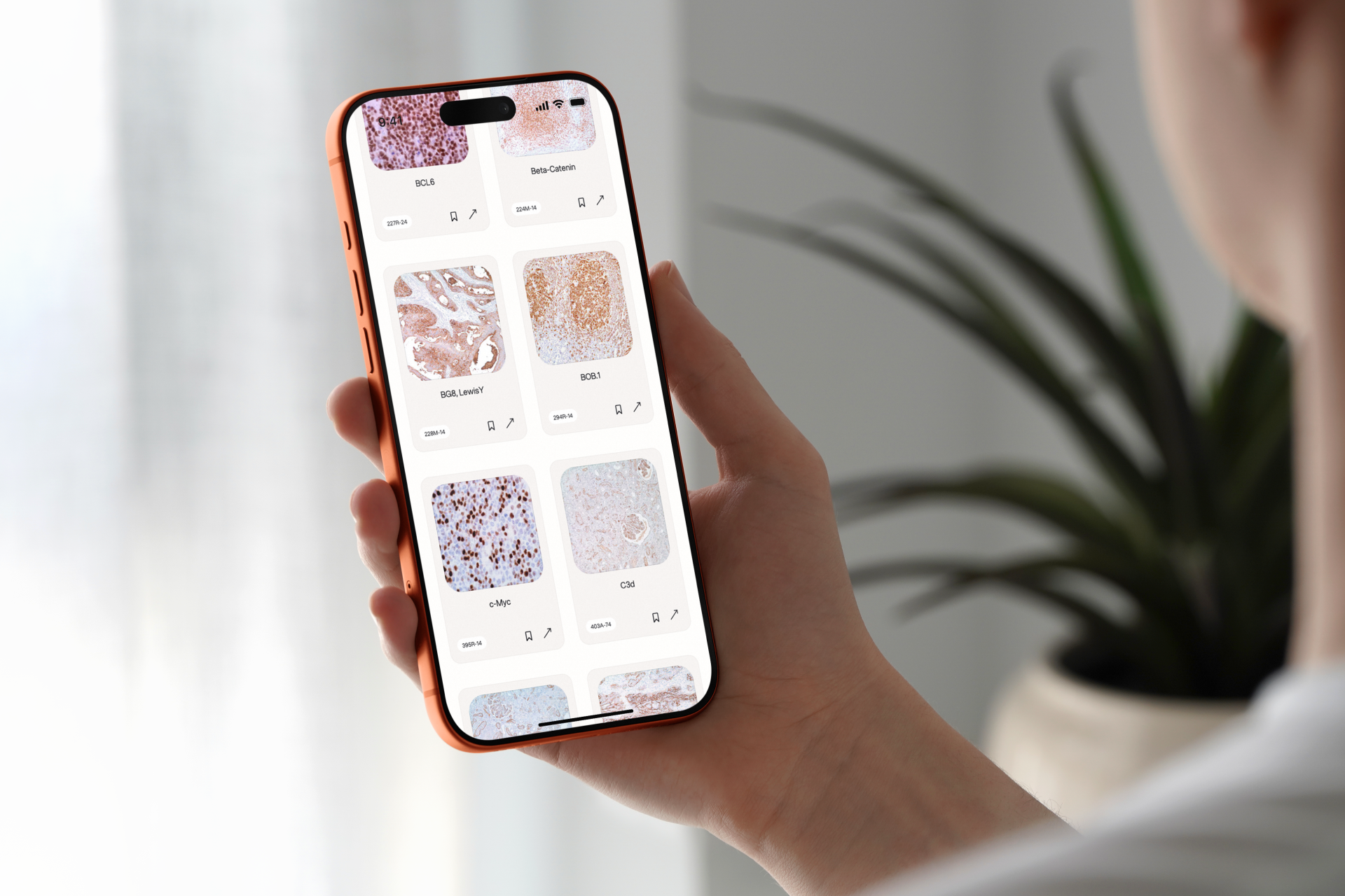 Diagnocell immunohistochemistry catalog on mobile