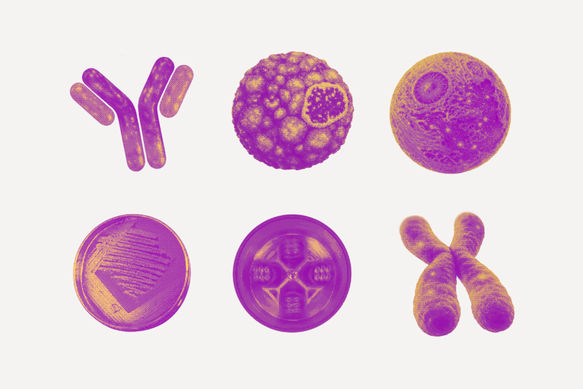 Diagnocell scientific illustration system and visual elements
